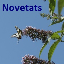Novetats juny 2024 Caldes