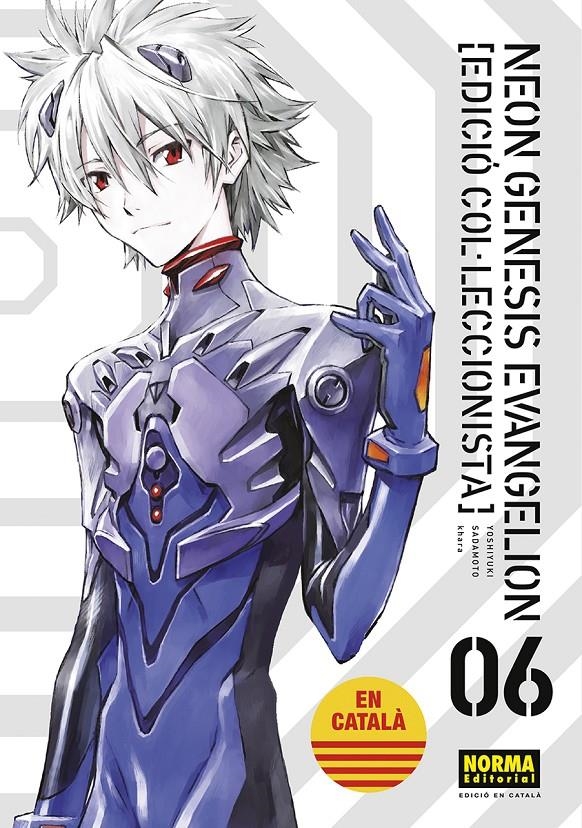 Neon genesis evangelion: Volum 6