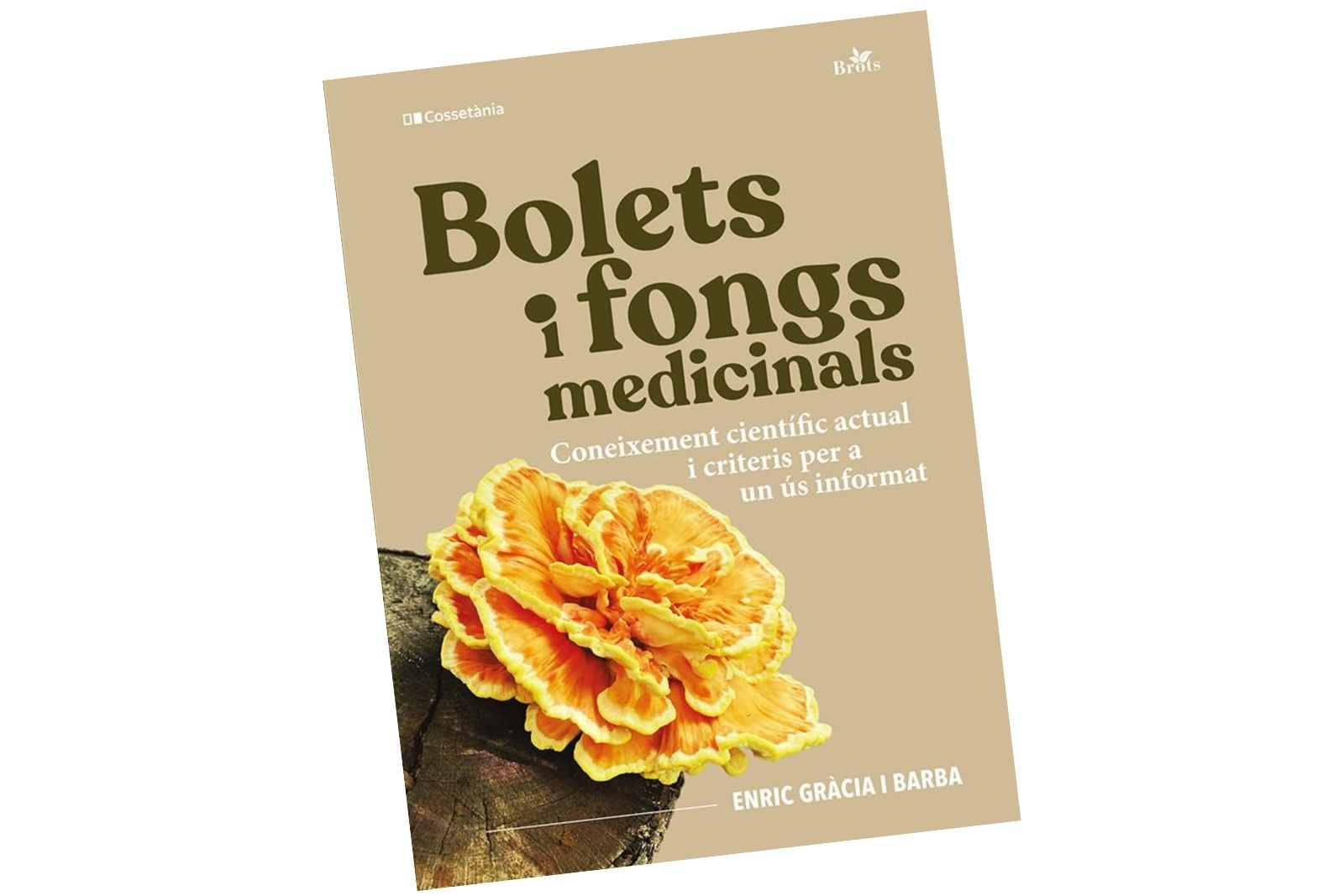 Coneixem els bolets?