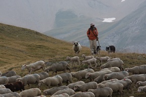 Camí Ramader de Marina: de la Cerdanya al Penedès